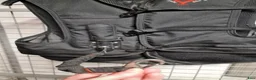 Säkerhetsvästar ryttarutrustning till salu: Point two air jacket  - Annons 4