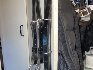 Övrig Hästutrustning hästutrustning till salu i Oskarshamn - Annons 3