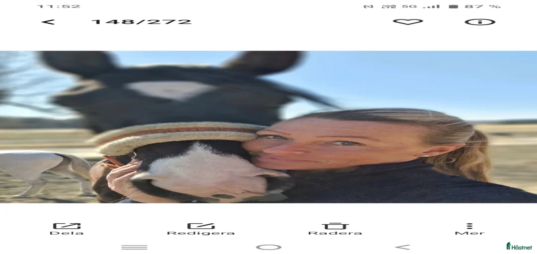 Galleribild {{count}}