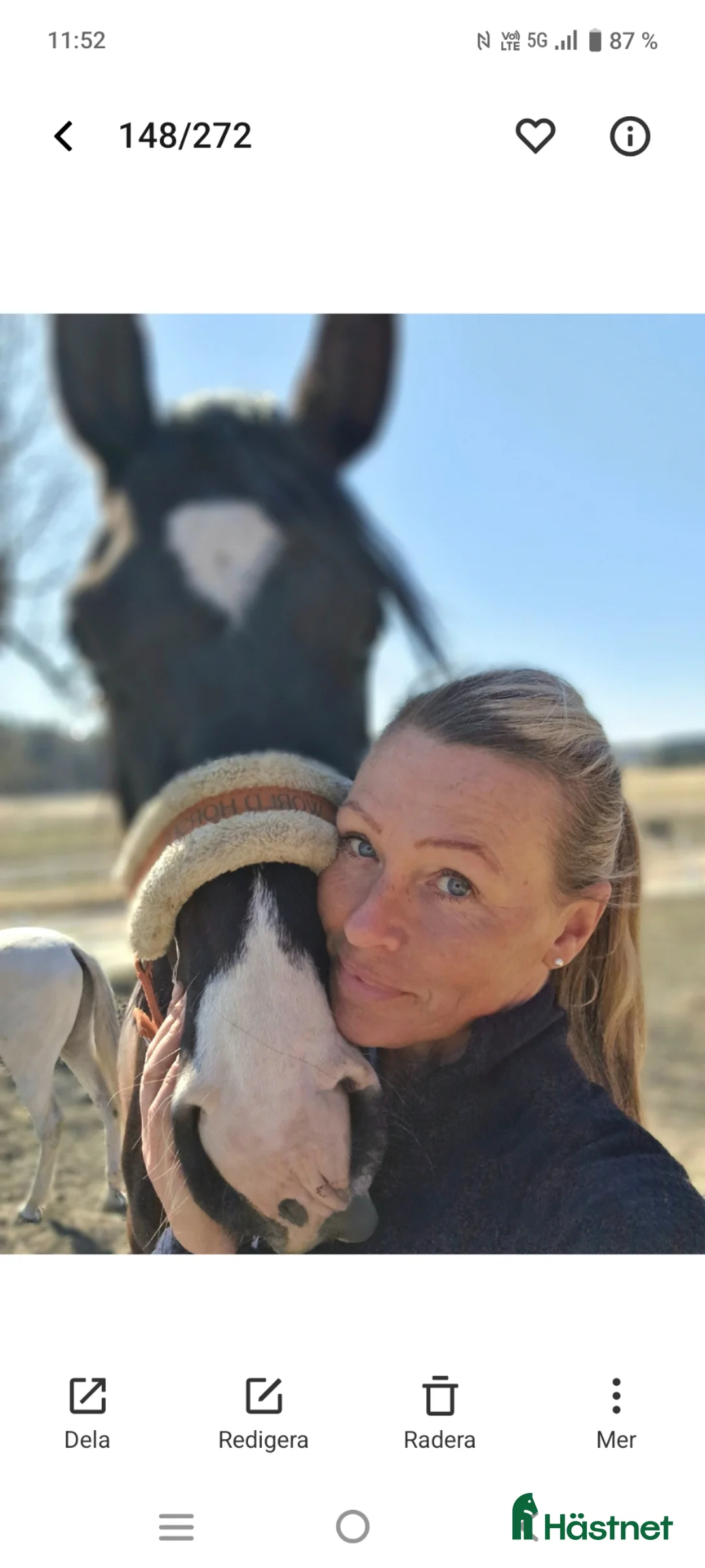 Galleribild {{count}}