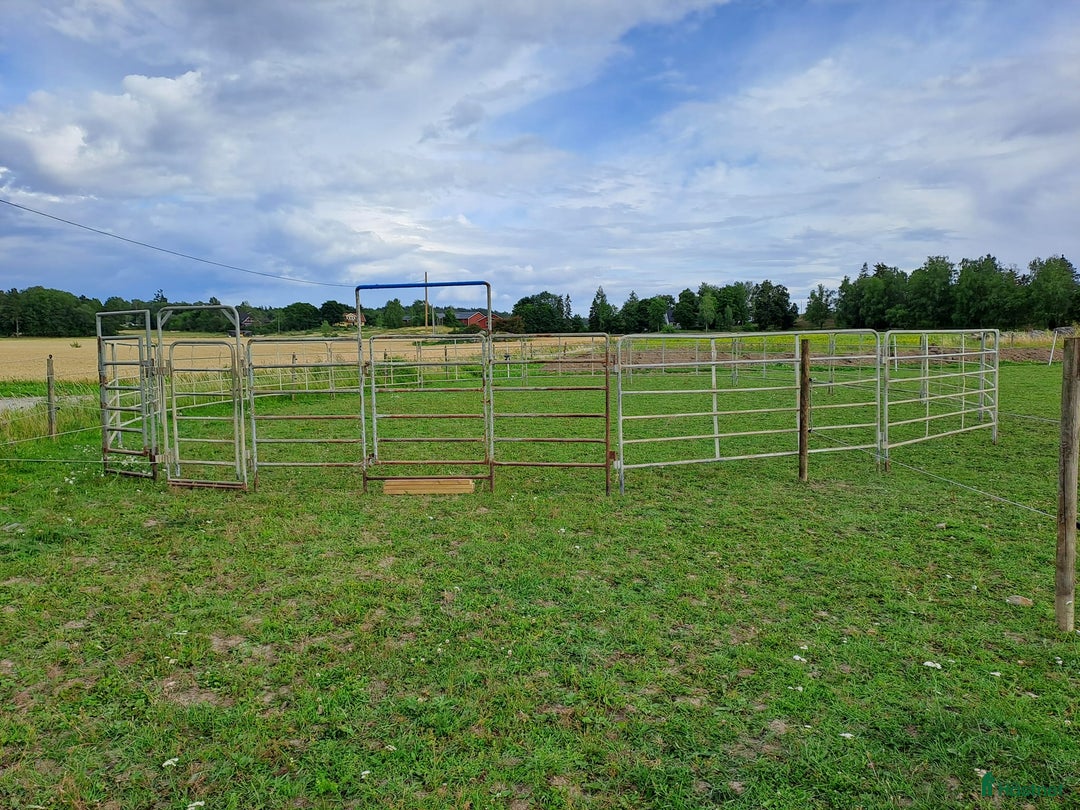  stallplats finnes: Lösdrift Häst - ung som gammal - blandflock i Bro - Annons 22