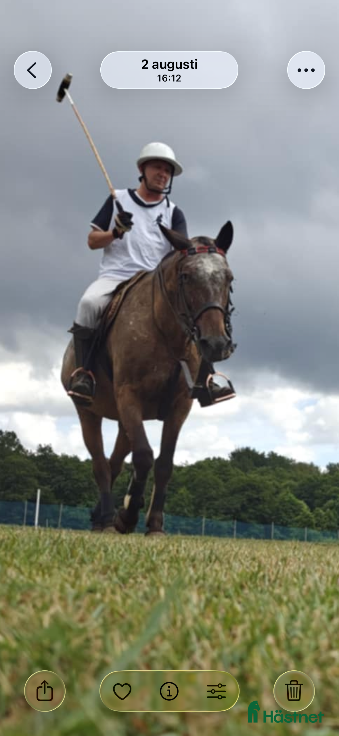  hästar Världens snällaste ponny i Sjöbo - Annons 12