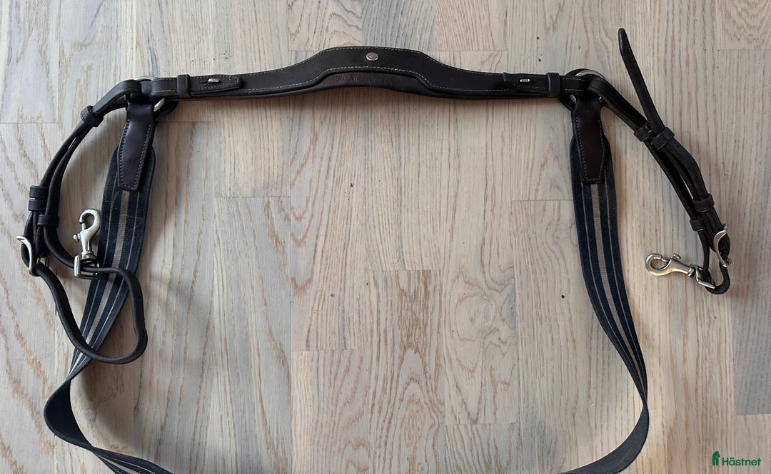 Övrig Hästutrustning hästutrustning till salu: Antarés förbygel med resår inklusive martingal. i Västervik - Annons 3