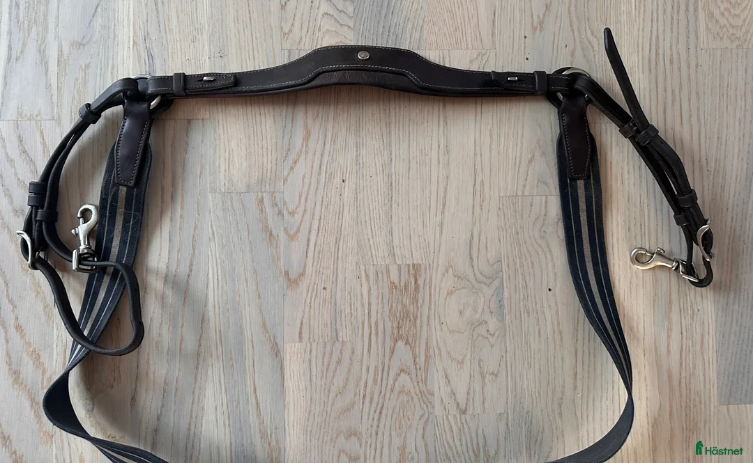 Övrig Hästutrustning hästutrustning till salu: Antarés förbygel med resår inklusive martingal. i Västervik - Annons 3