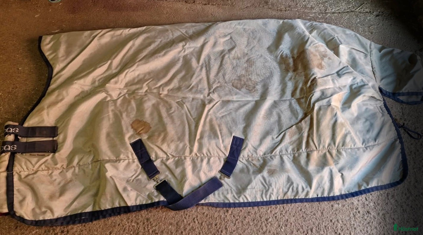 Täcken hästutrustning till salu: Bucas utetäcke 145 i Alunda - Annons 1
