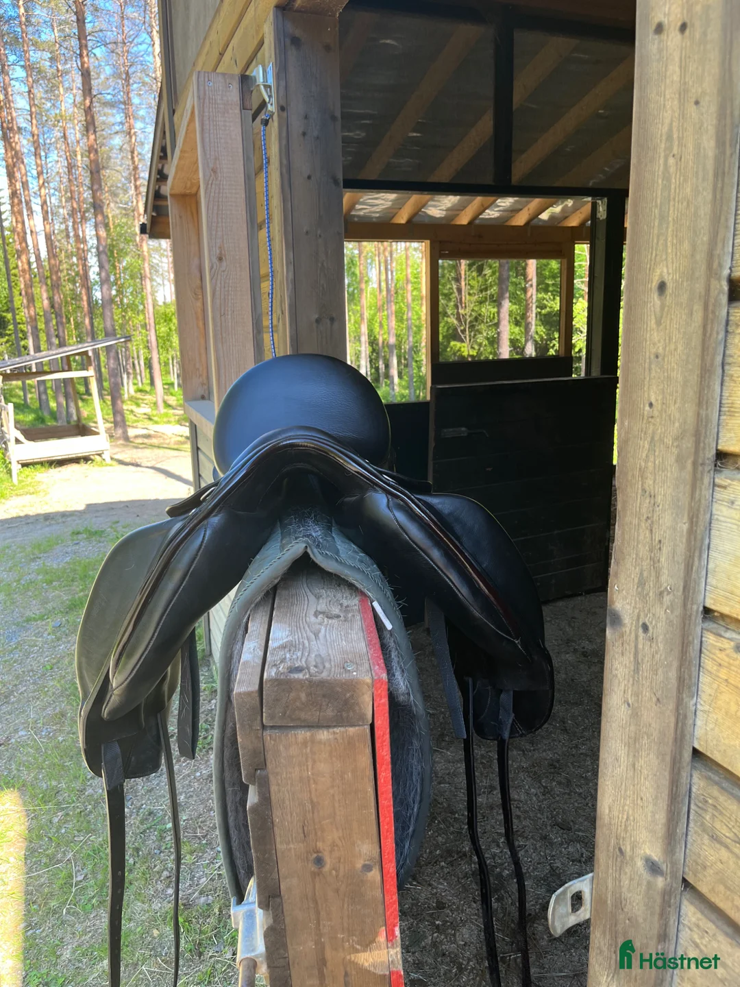 Sadlar hästutrustning till salu: Dressyrsadel - Annons 2
