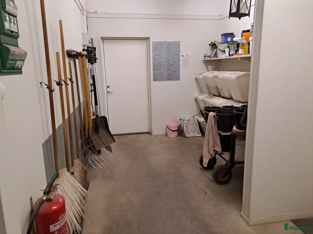  stallplats finnes: Lediga Stallplatser Önsta Stallet i Bro - Annons 18