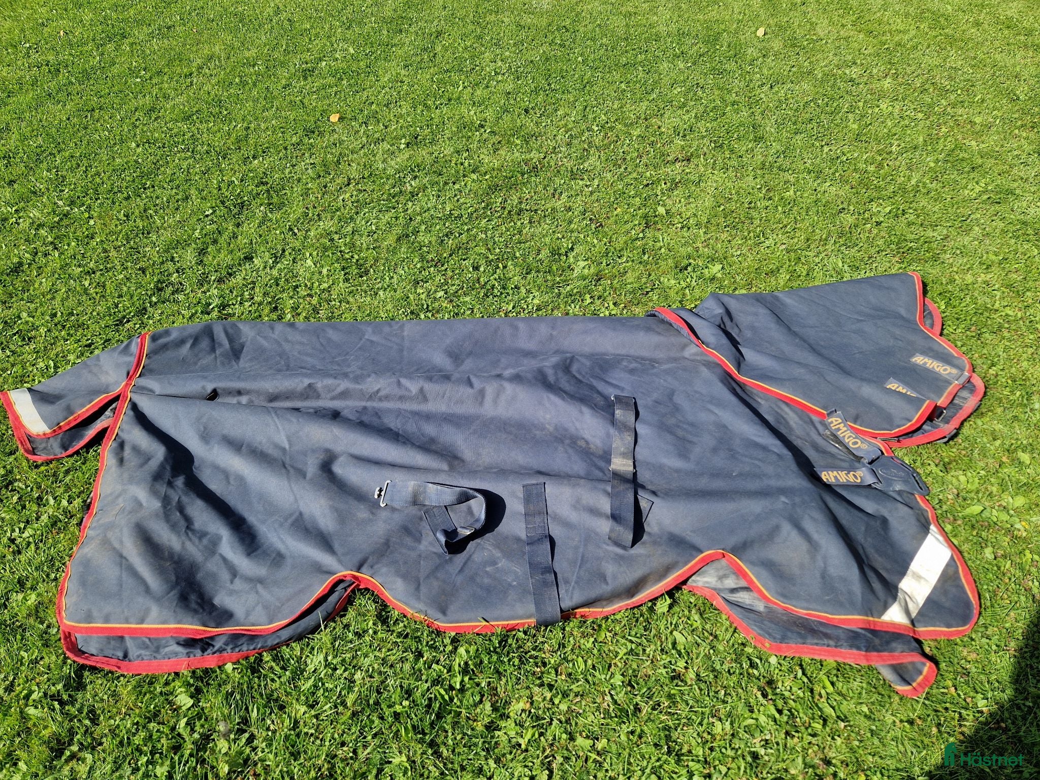Täcken hästutrustning Horeware Amigo Bravo 12 Plus 100g DF 140cm - Annons 5