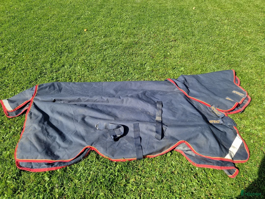 Täcken hästutrustning till salu: Horeware Amigo Bravo 12 Plus 100g DF 140cm - Annons 1