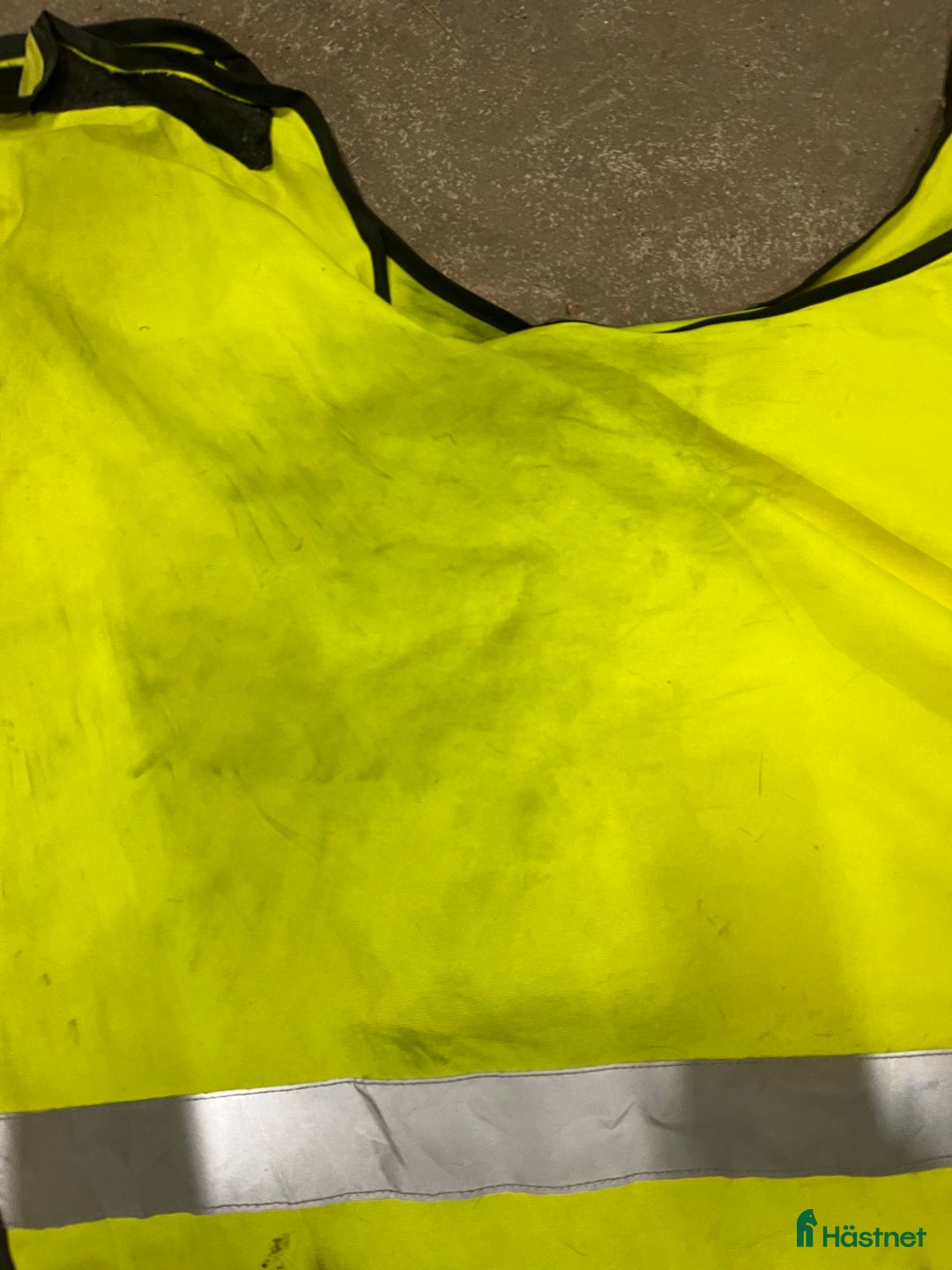 Övrig Hästutrustning hästutrustning till salu: Hästgrejer  i Umeå - Annons 6