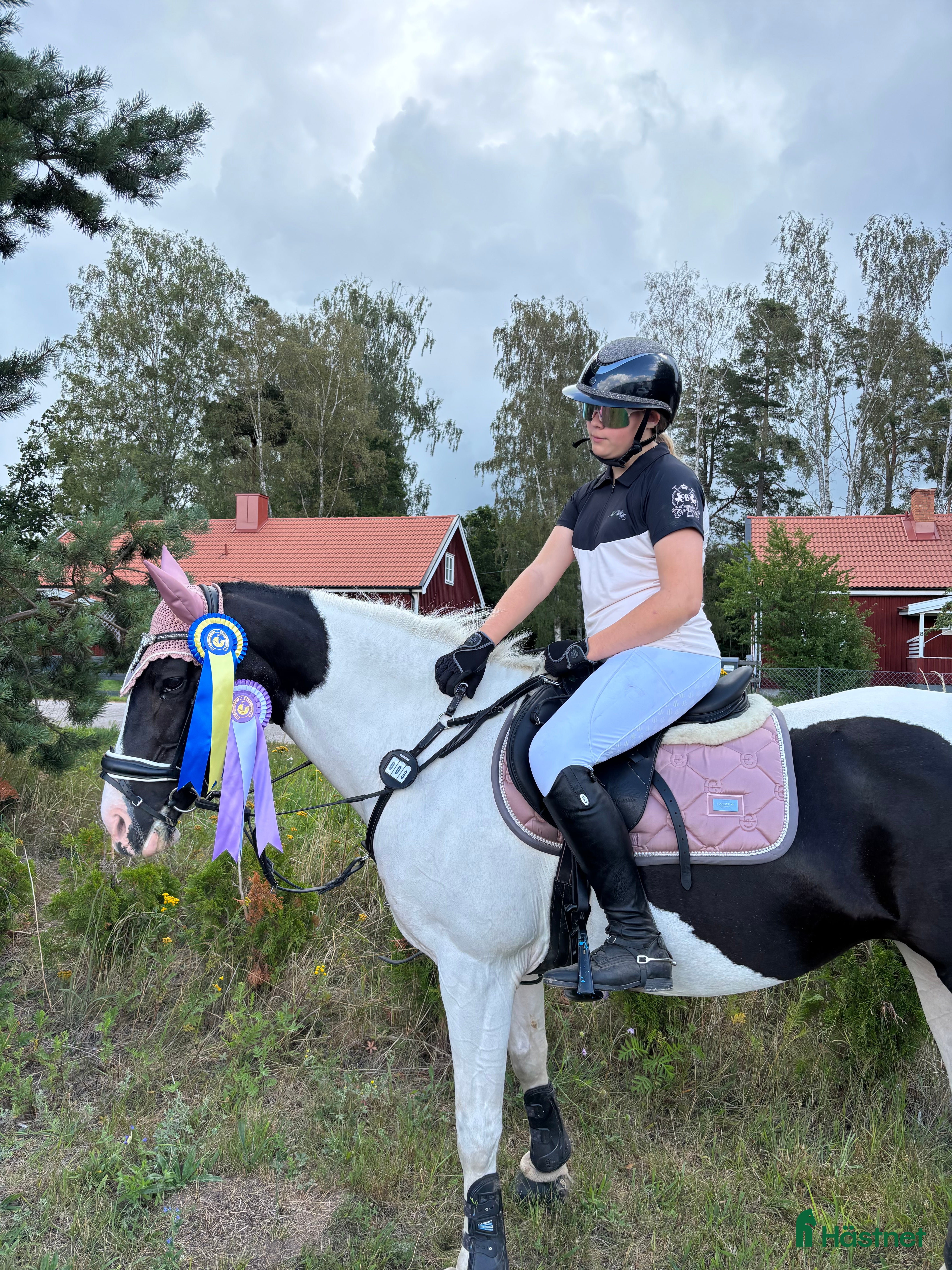  hästar Din egen prinsessa ❤️ - Annons 8