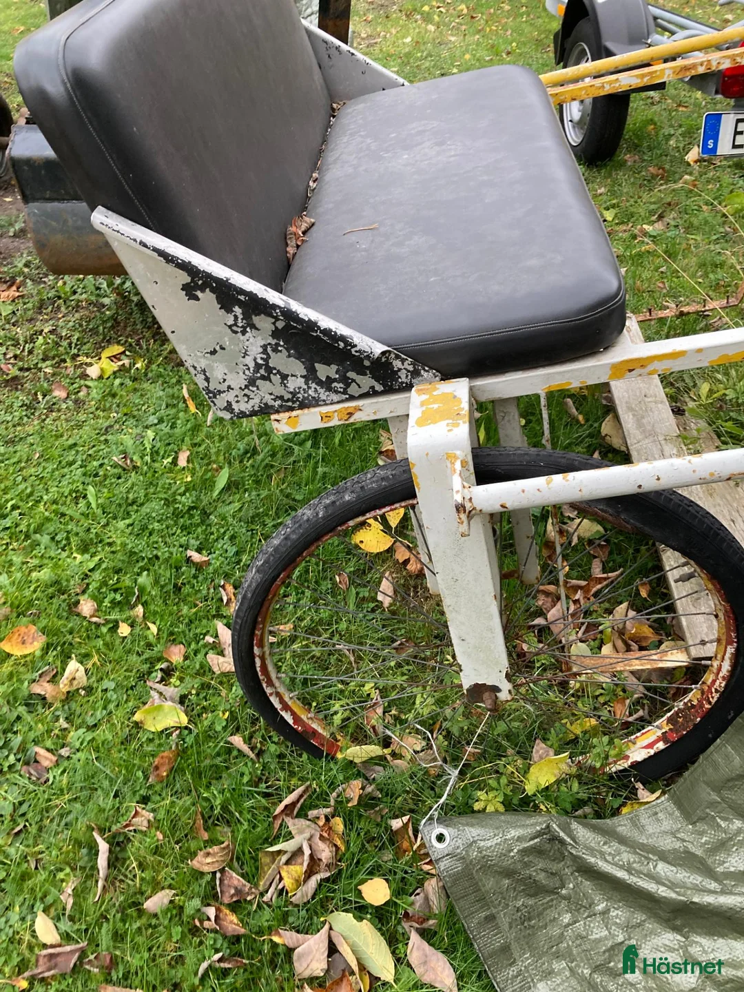 Körvagnar körning till salu: Rockard med Sele i Uppsala - Annons 1