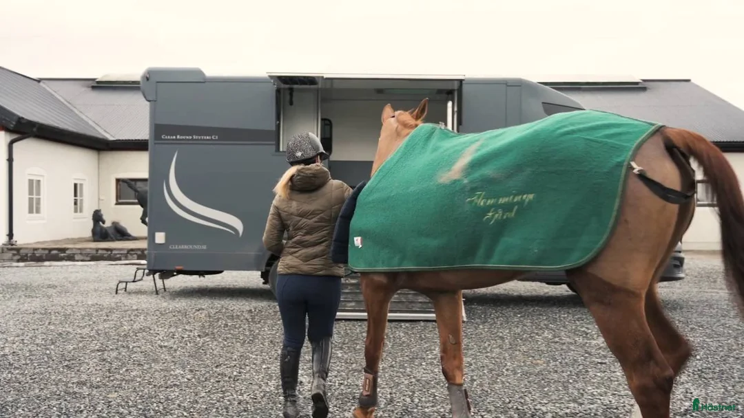 Hästlastbilar  fordon & transport till salu: Clear Round C1 (WRA27G)LASTVIKT: 1 670kg i Täby - Annons 8