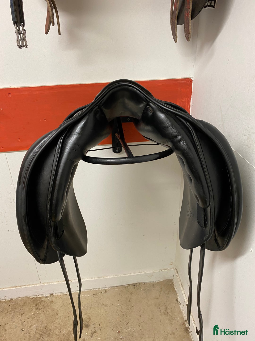 Sadlar hästutrustning till salu: Amerigo CC  i Nässjö - Annons 3