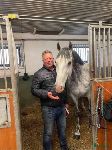 Galleribild {{count}}