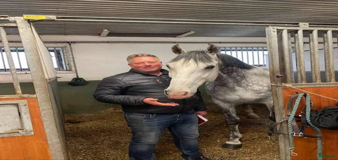 Galleribild {{count}}