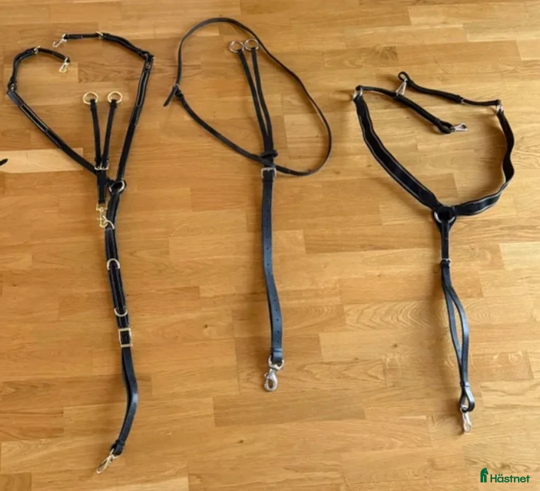 Övrig Hästutrustning hästutrustning till salu: Gjordar, martingal, tyglar, mm - Annons 2