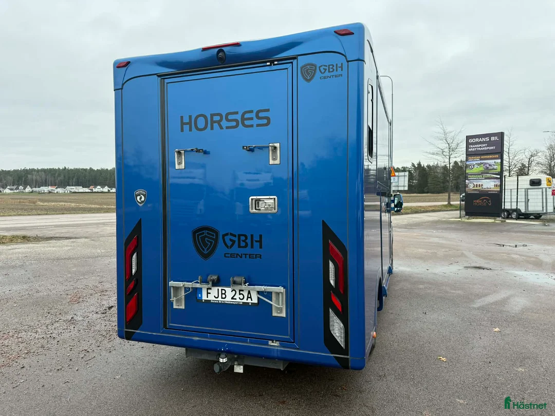 Hästlastbilar  fordon & transport till salu: PARAGAN EXCELSION 5XL STUTERI  i Köping - Annons 4