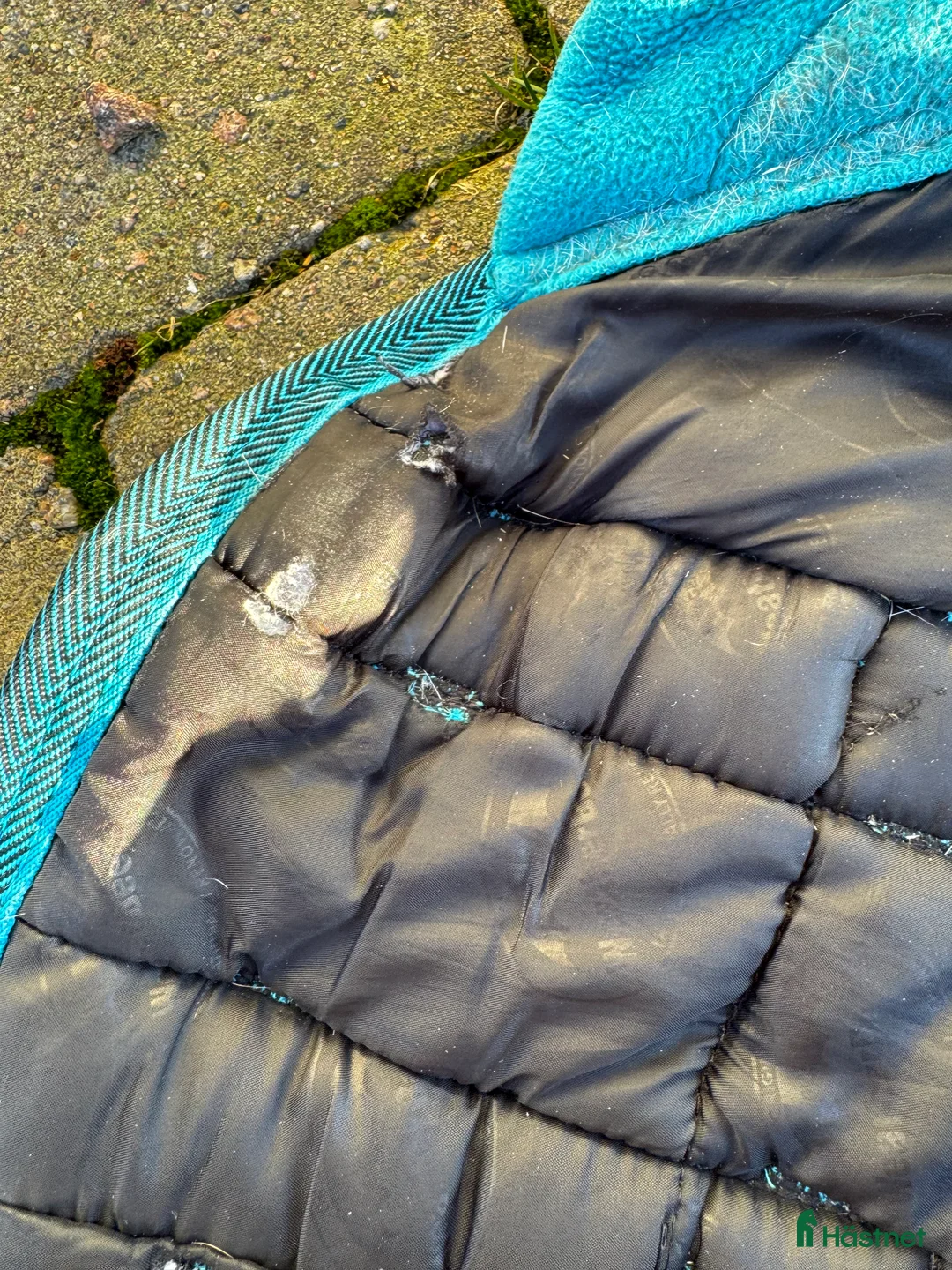 Täcken hästutrustning till salu: Rejält innetäcke stl 125 i Kungälv - Annons 3