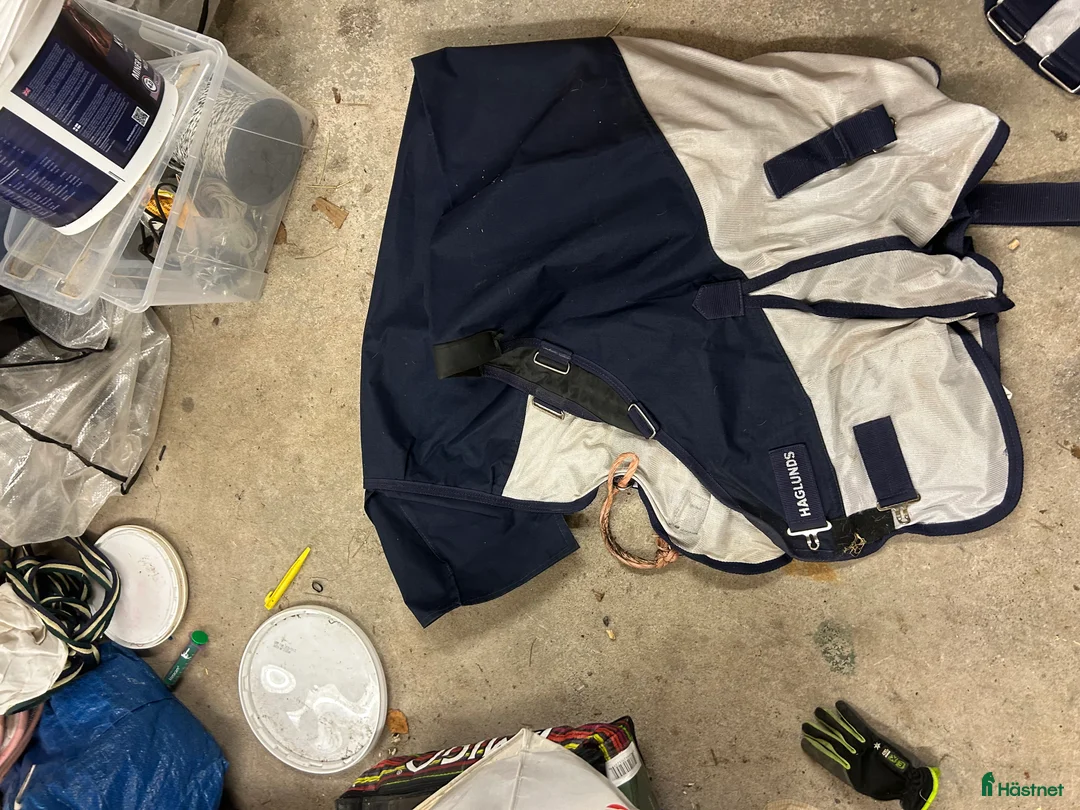 Täcken hästutrustning till salu: Täcken i Gävle - Annons 3