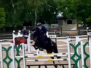 hästar Välhoppande rutinerat hoppsto med fina gångarter - Annons 12