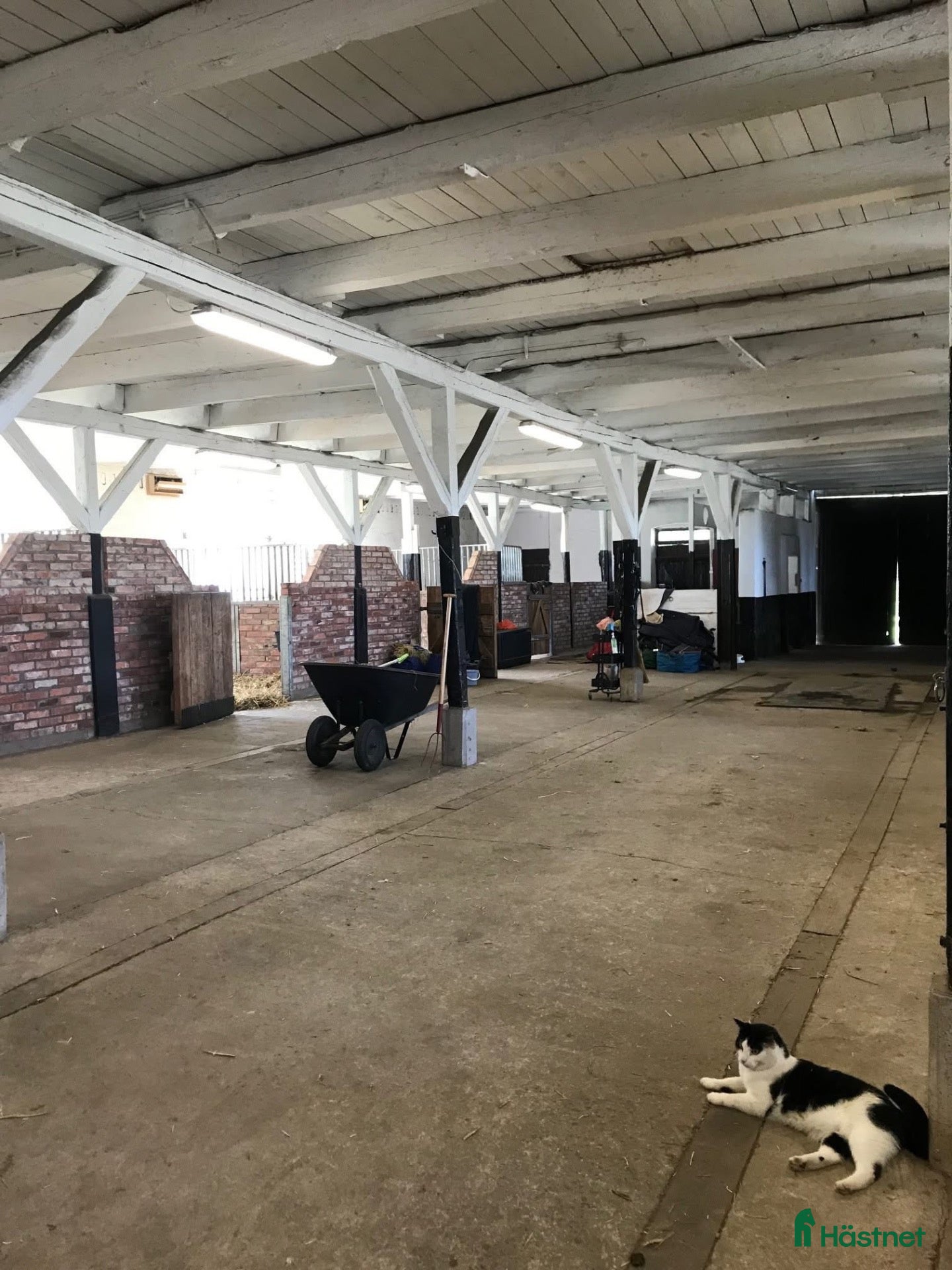  stallplats Stallplats - Annons 14