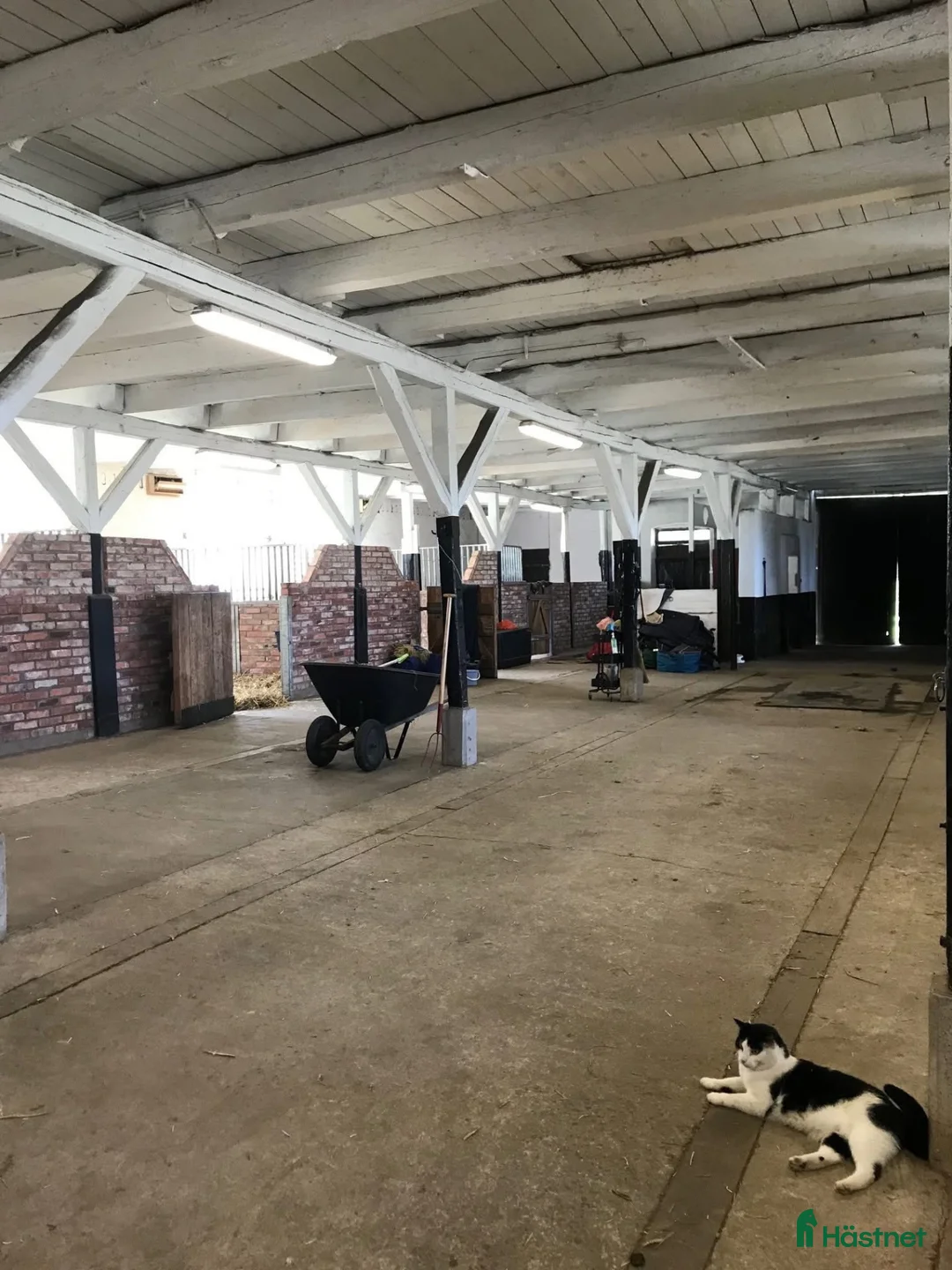  stallplats finnes: Stallplats - Annons 1
