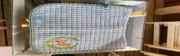 Schabrak & Vojlockar hästutrustning till salu: Ljusblått schabrak strl full  - Annons 1