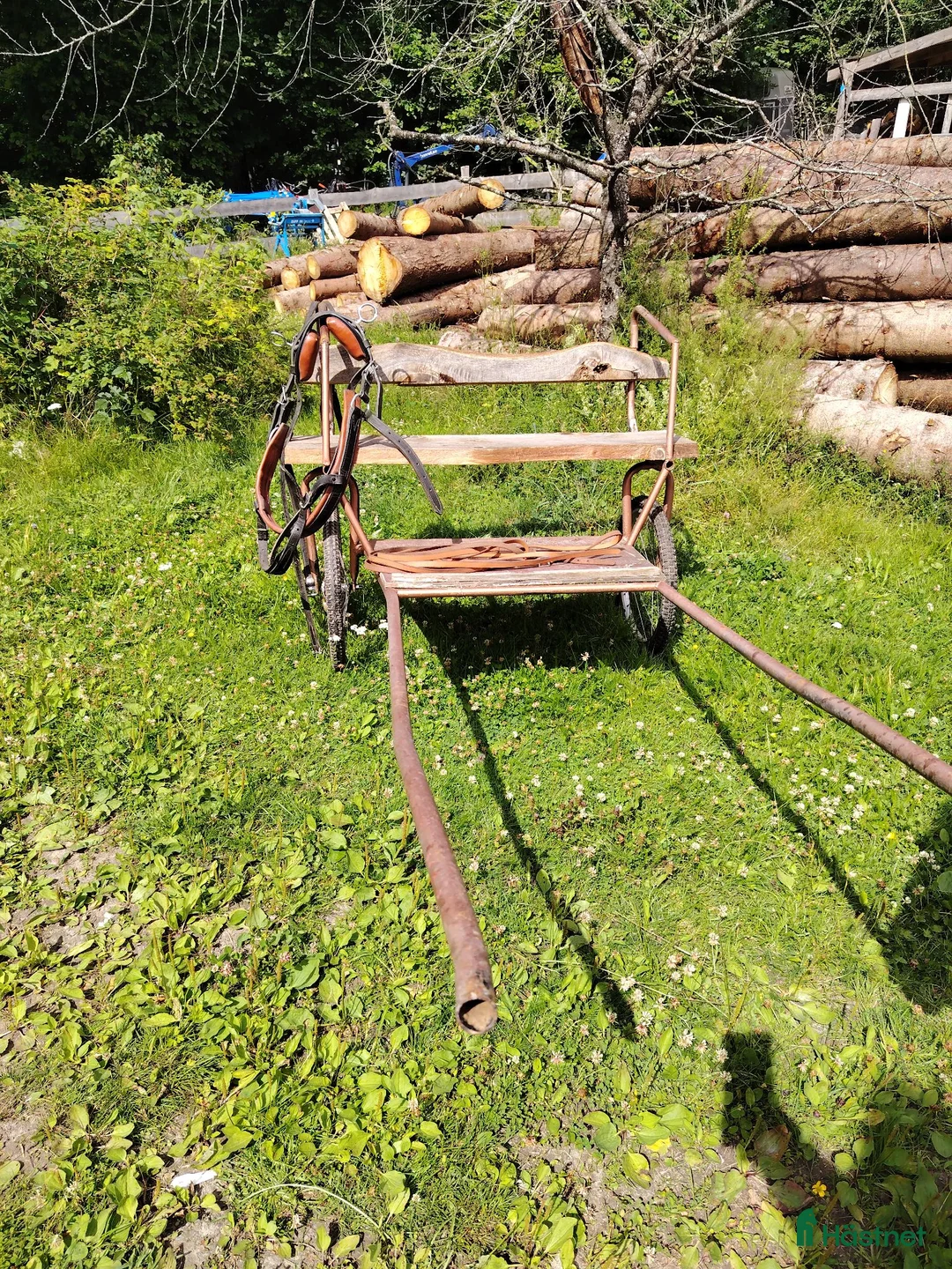 Körvagnar körning till salu: Rockard m, sele och tömmar - Annons 4