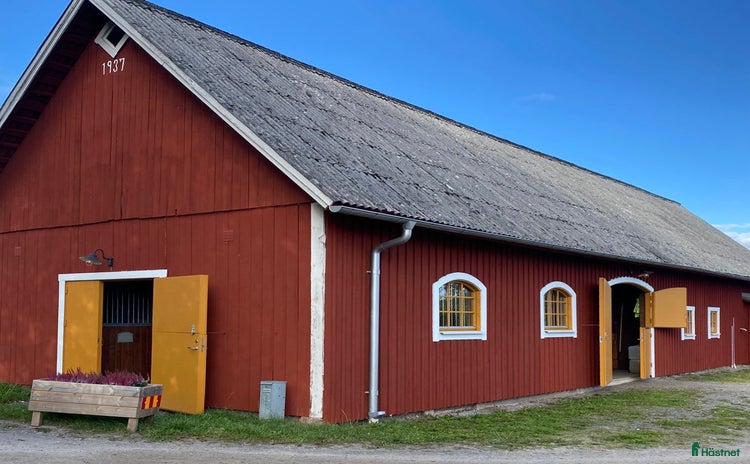  stallplats Lediga stallplatser i mysigt stall i Habo - Annons 17