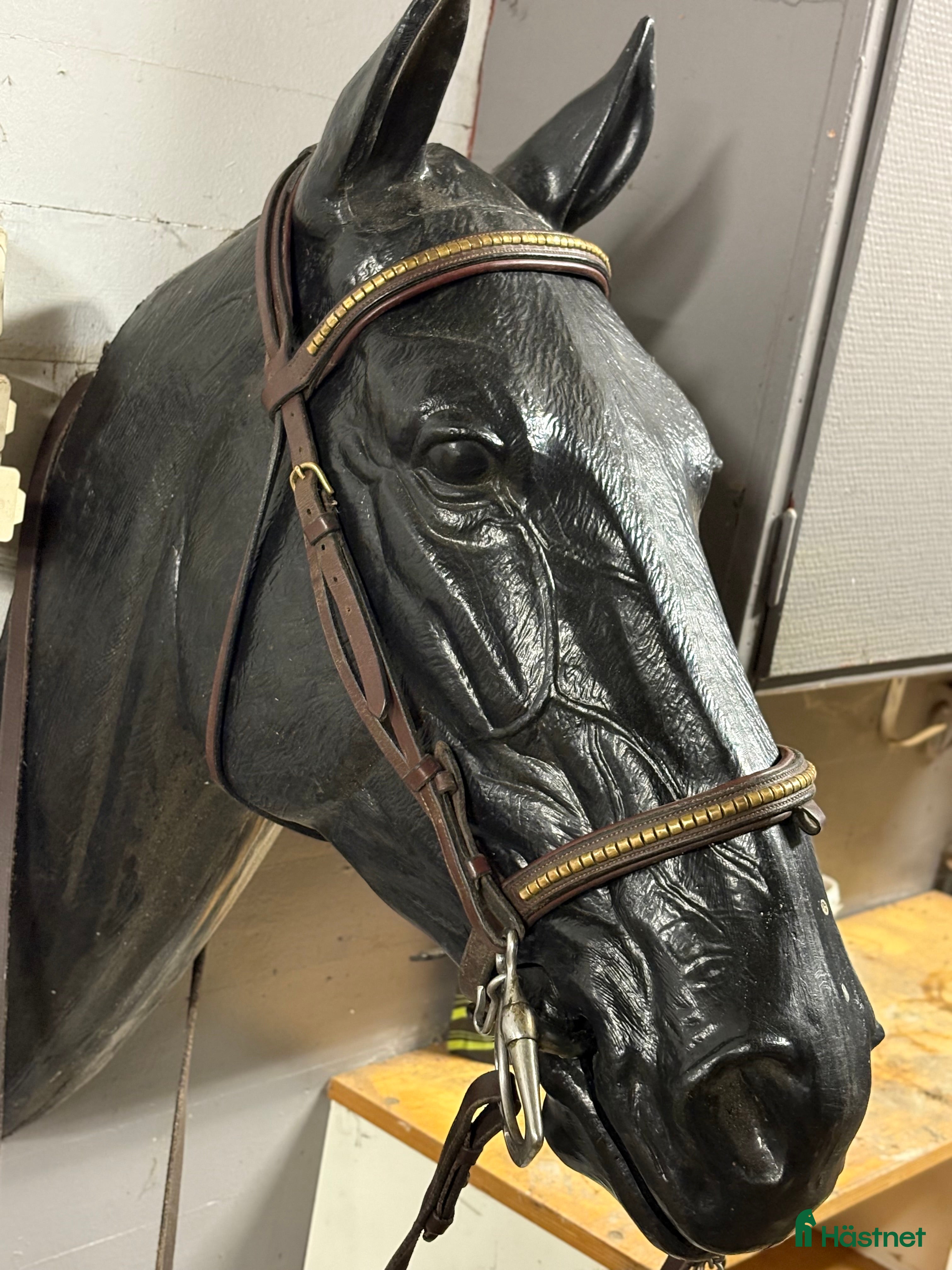 Träns hästutrustning Equipe Klinker + equipe förbygel klinker i Allerum - Annons 6