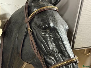 Träns hästutrustning till salu: Equipe Klinker + equipe förbygel klinker i Allerum - Annons 23