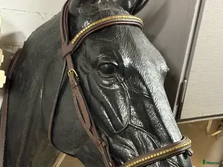 Träns hästutrustning Equipe Klinker + equipe förbygel klinker i Allerum - Annons 6