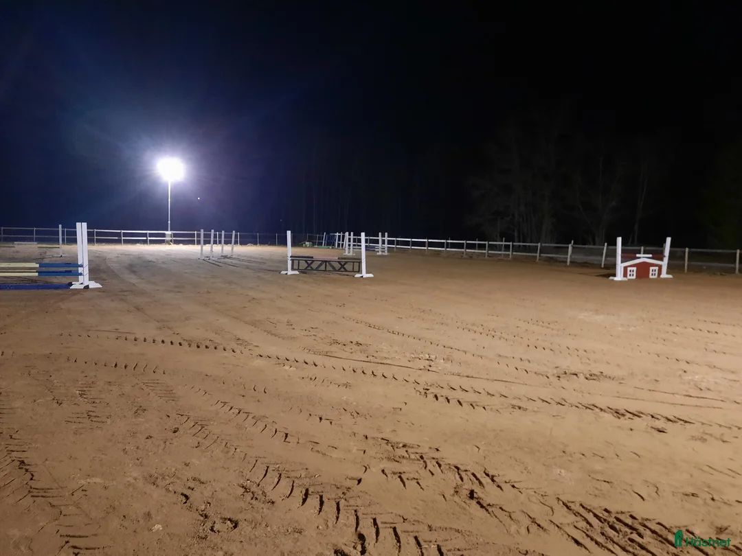  stallplats finnes: Lösdrift med möjlighet till fullservice - Annons 1