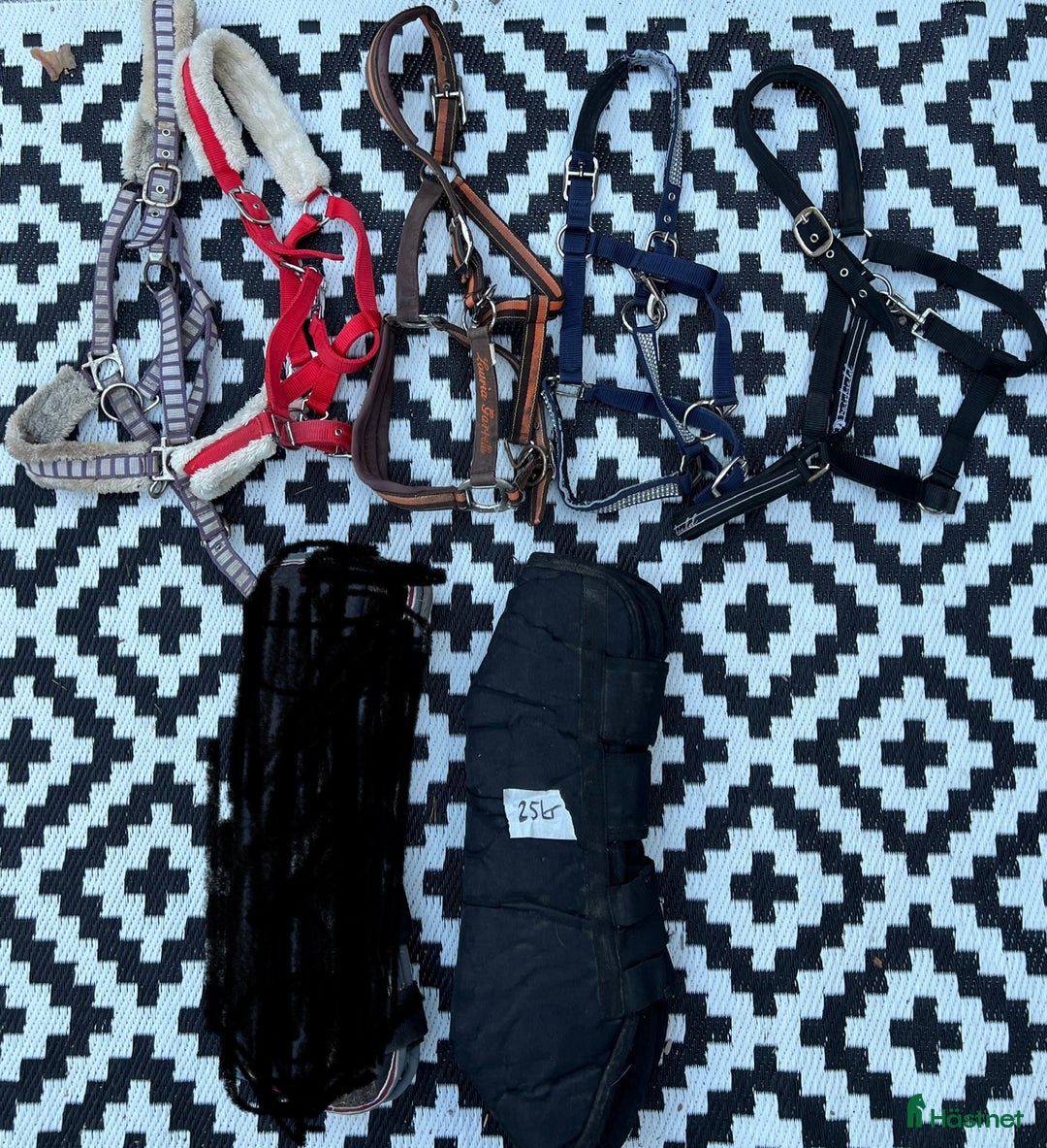 Övrig Hästutrustning hästutrustning till salu: Grimmor och transportskydd i Sandviken - Annons 1