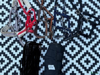 Övrig Hästutrustning hästutrustning till salu: Grimmor och transportskydd i Sandviken - Annons 4