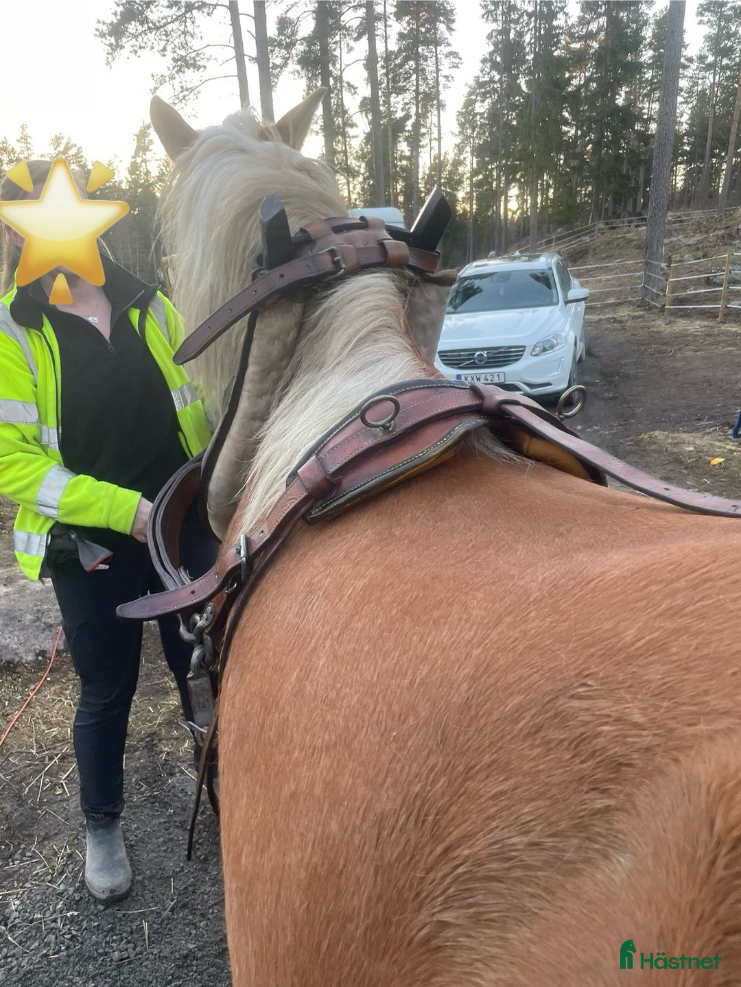 Körselar körning till salu: Loksele i Riala - Annons 3