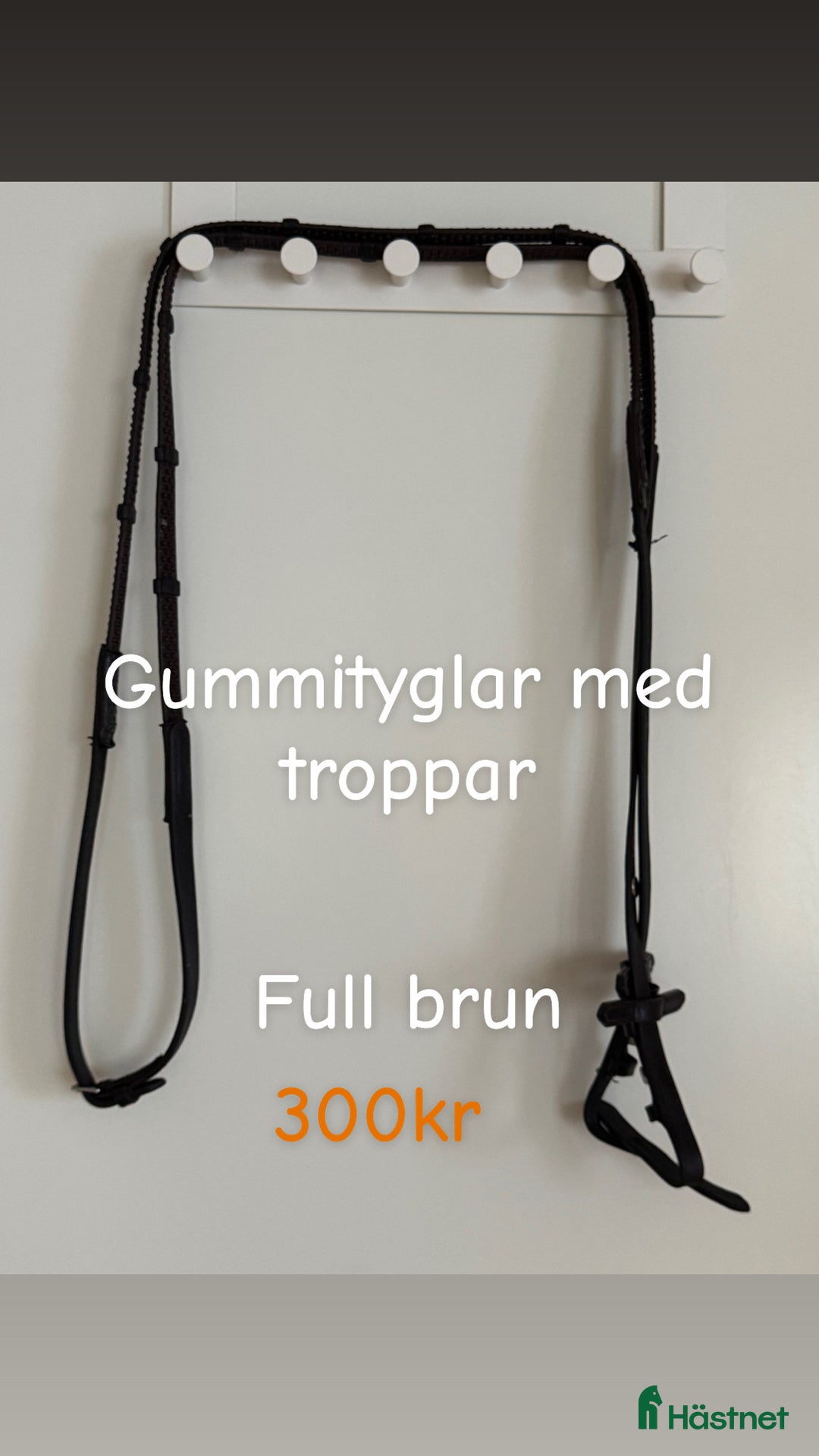 Övrig Hästutrustning hästutrustning till salu:  Samshield  Pikeur Fager Ariat Uhip MayaDelores i Hjälteby - Annons 5