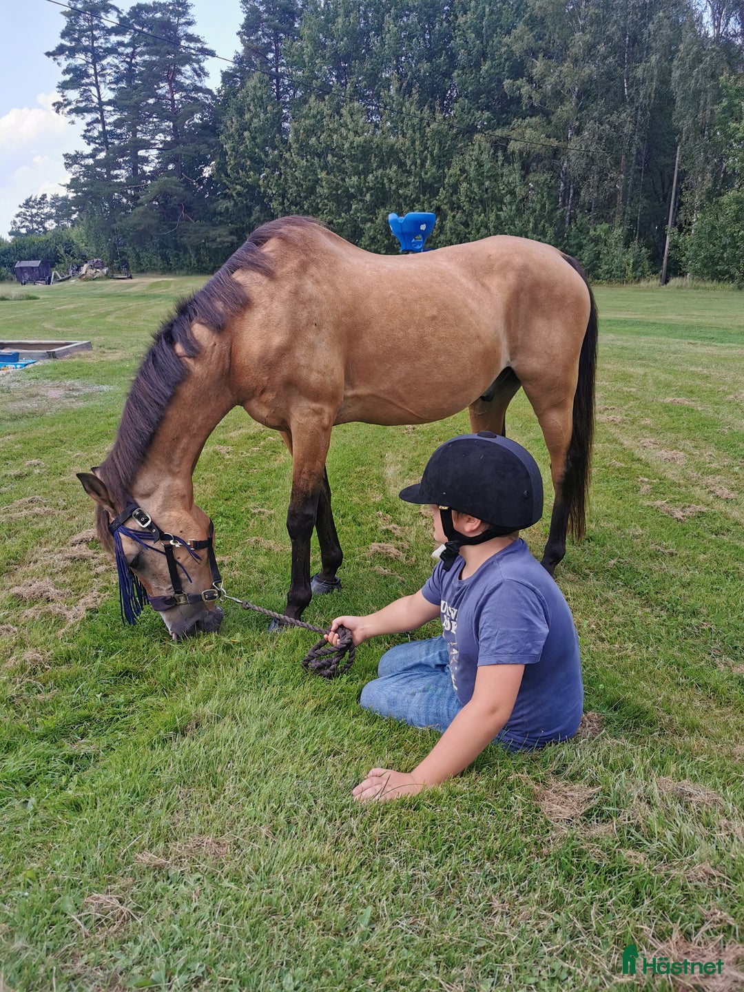 Galleribild {{count}}