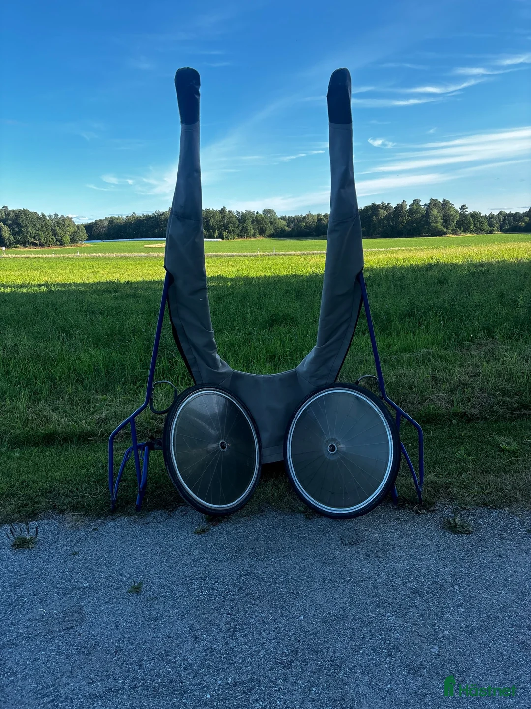 Körsulkys körning till salu: Custom vagn - Annons 2