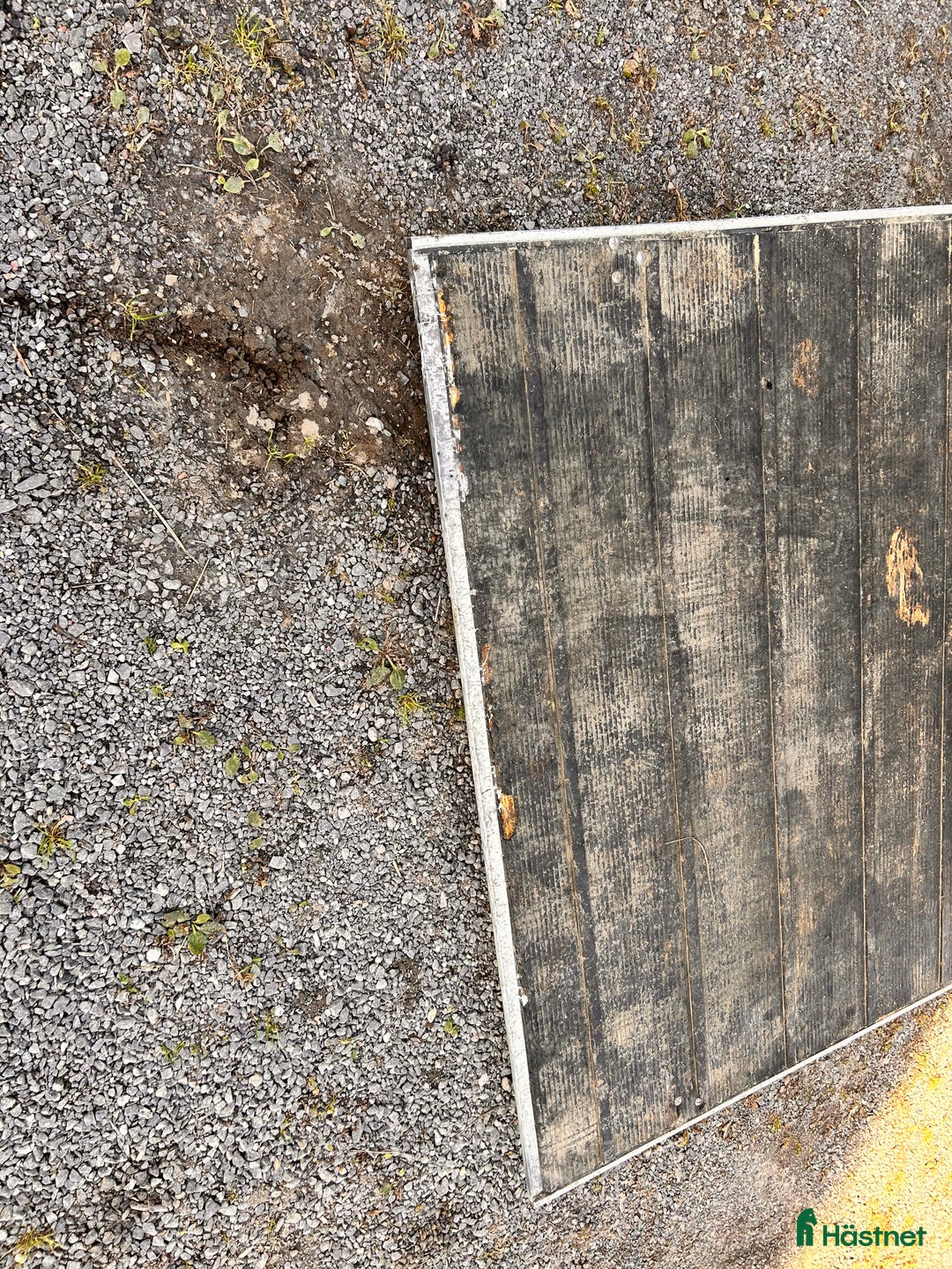 Hästtransporter  fordon & transport till salu: Säljes pga nyköp i Härnösand - Annons 7