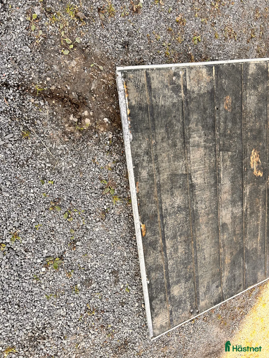 Hästtransporter  fordon & transport till salu: Säljes pga nyköp i Härnösand - Annons 7