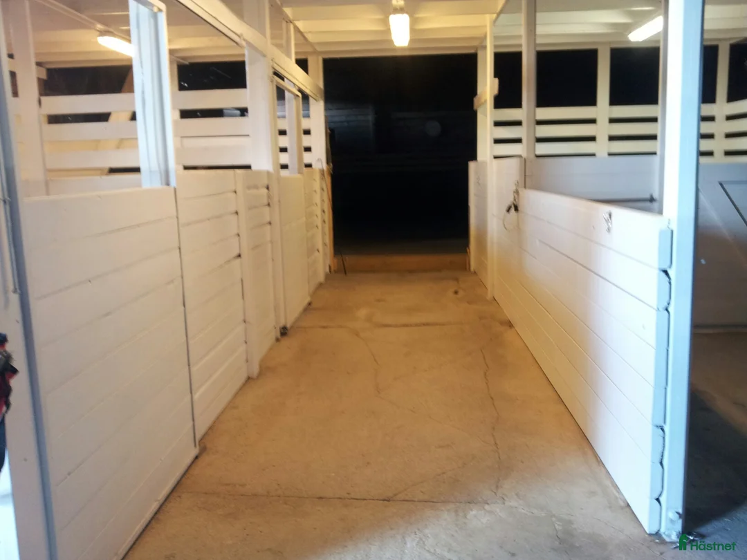  stallplats finnes: Lediga platser på Ytterstene Gård i Vagnhärad - Annons 8