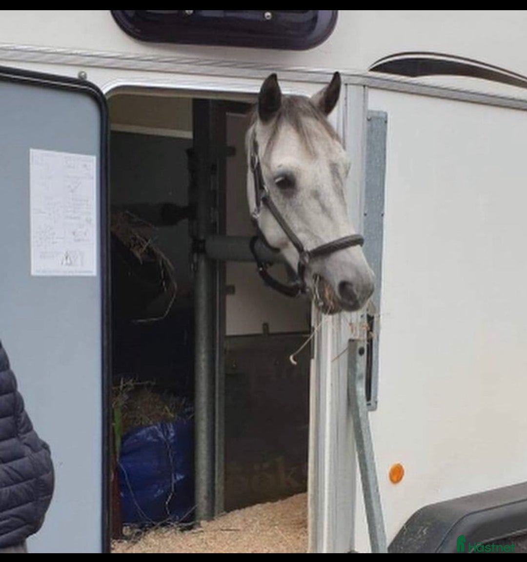 Hästtransporter  fordon & transport till salu: Thule Royal 135 i Krylbo - Annons 4