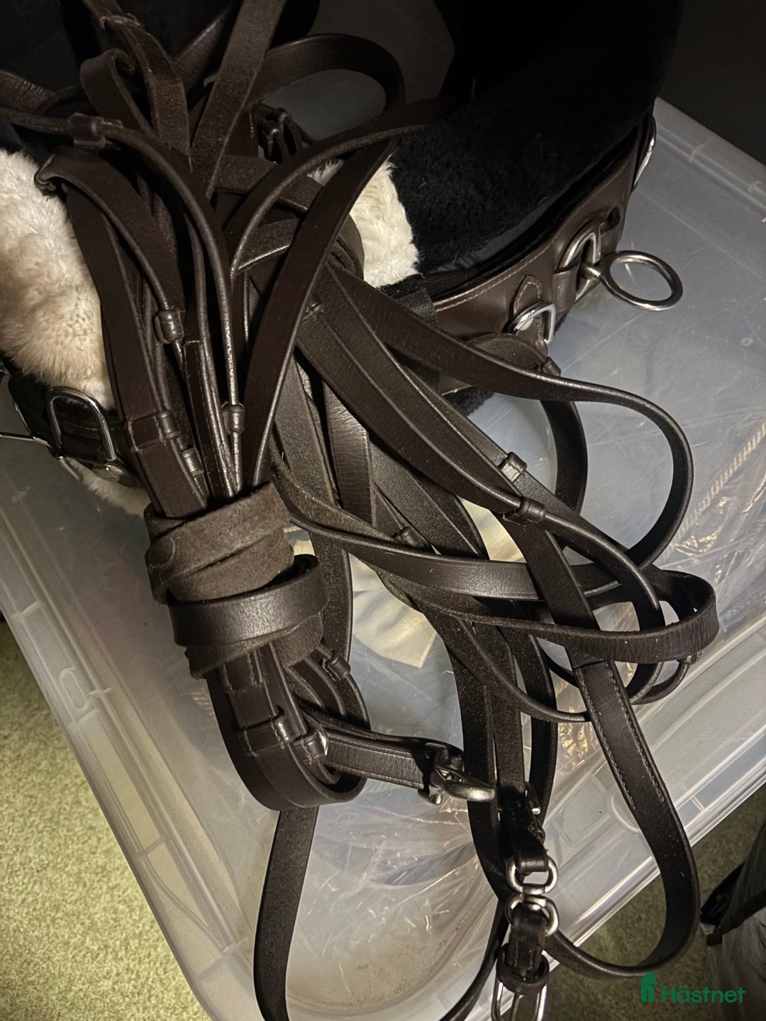 Övrig Hästutrustning hästutrustning till salu: Tömkörningsgjord & lädertömmar i Västerhaninge - Annons 3