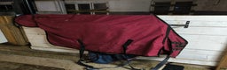 Täcken hästutrustning till salu: Regntäcke 125 i Åmotsbruk - Annons 1