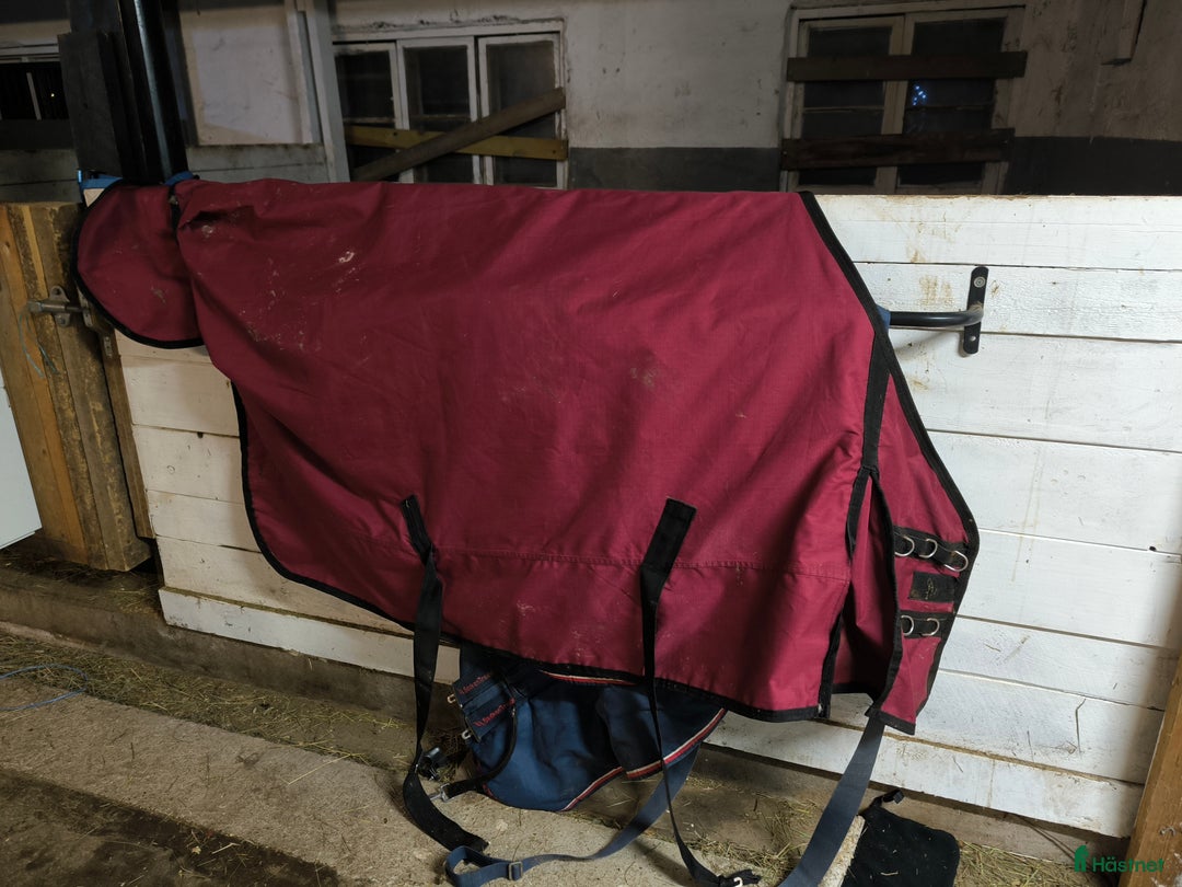 Täcken hästutrustning till salu: Regntäcke 125 i Åmotsbruk - Annons 1