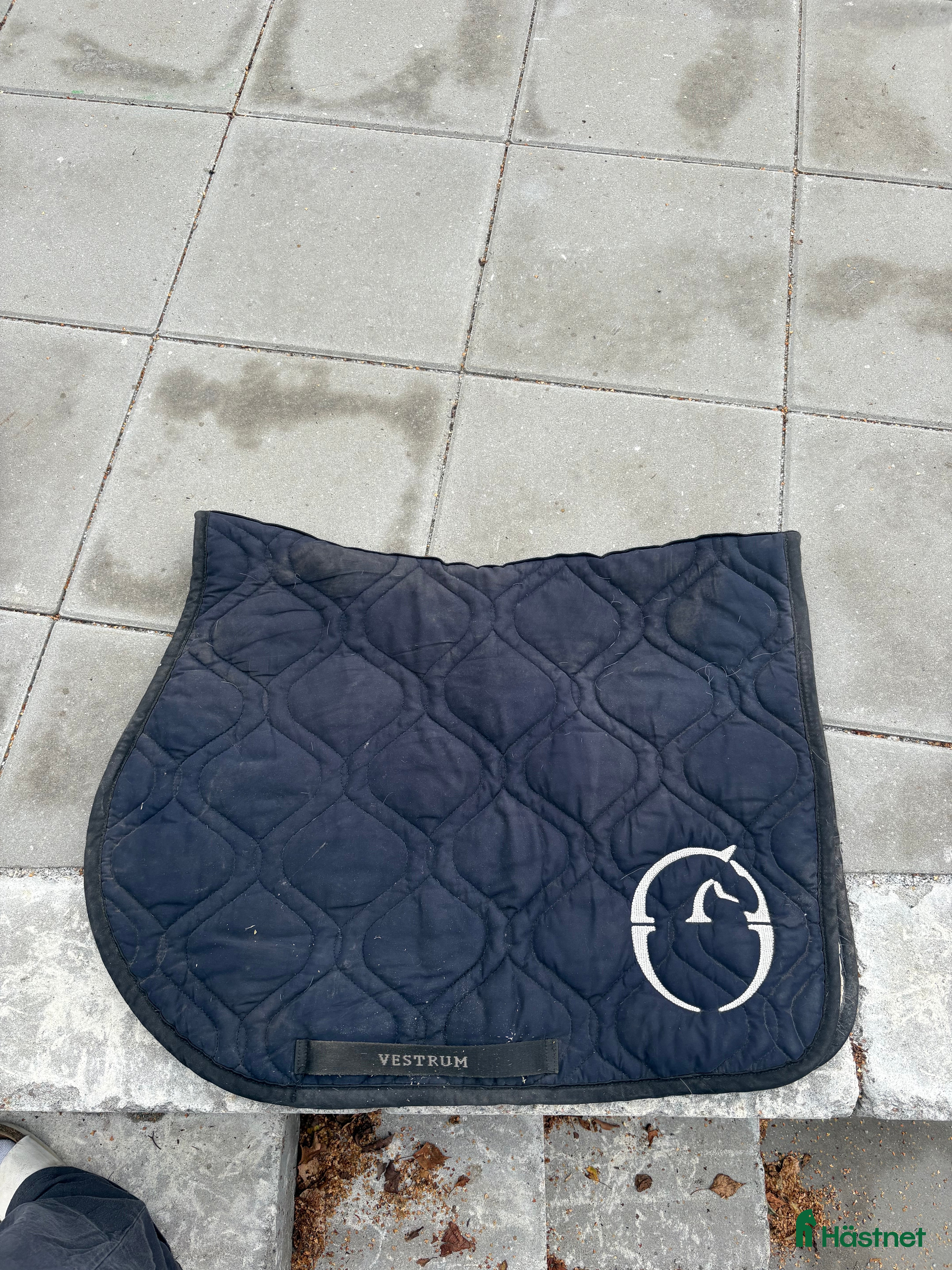 Schabrak & Vojlockar hästutrustning till salu: Vestrum schabrak i Genarp - Annons 1