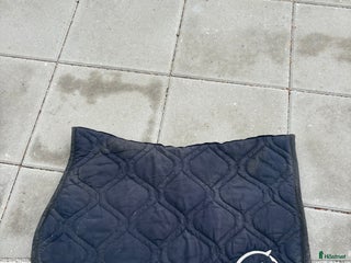 Schabrak & Vojlockar hästutrustning till salu: Vestrum schabrak i Genarp - Annons 1