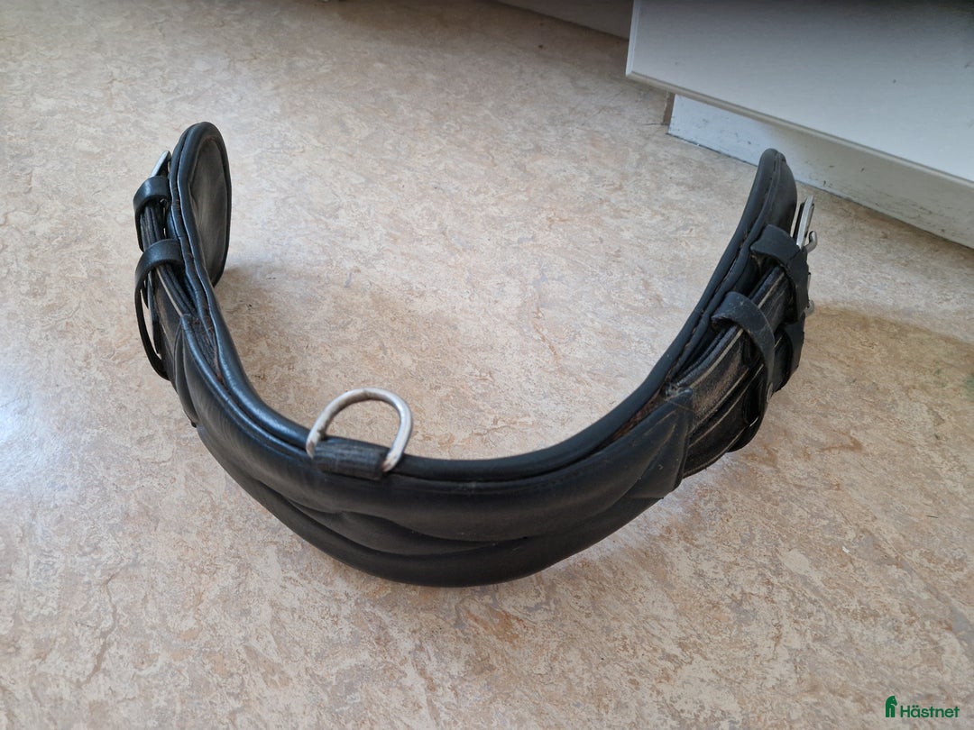 Sadeltillbehör hästutrustning till salu: Anatomisk dressyrgjord i Mantorp - Annons 1